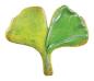 Preview: Ginkgoblatt 6,5 cm