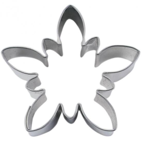 Edelweiß 6,5 cm