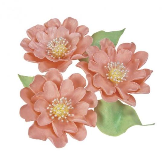 Seerose & Nelke Profi Ausstecher mit Auswerfer Set 3-tlg
