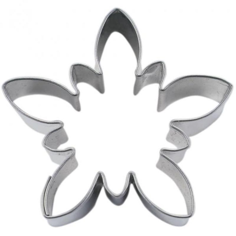 Edelweiß 6,5 cm