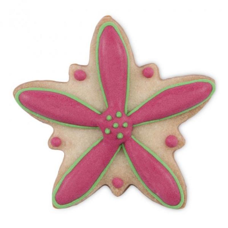 Edelweiß 6,5 cm