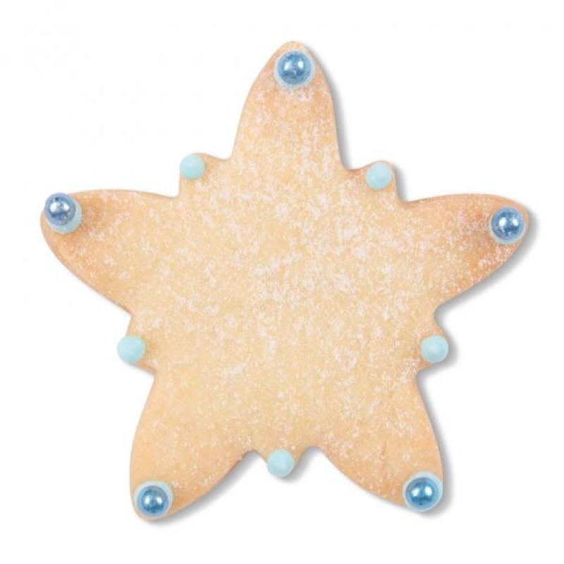 Edelweiß 6,5 cm