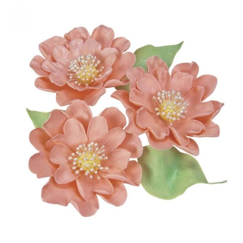 Seerose & Nelke Profi Ausstecher mit Auswerfer Set 3-tlg