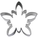 Edelweiß 6,5 cm